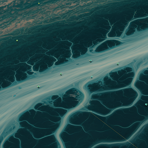 Topographic map of river delta region